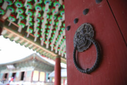 South_Korea (62/70)